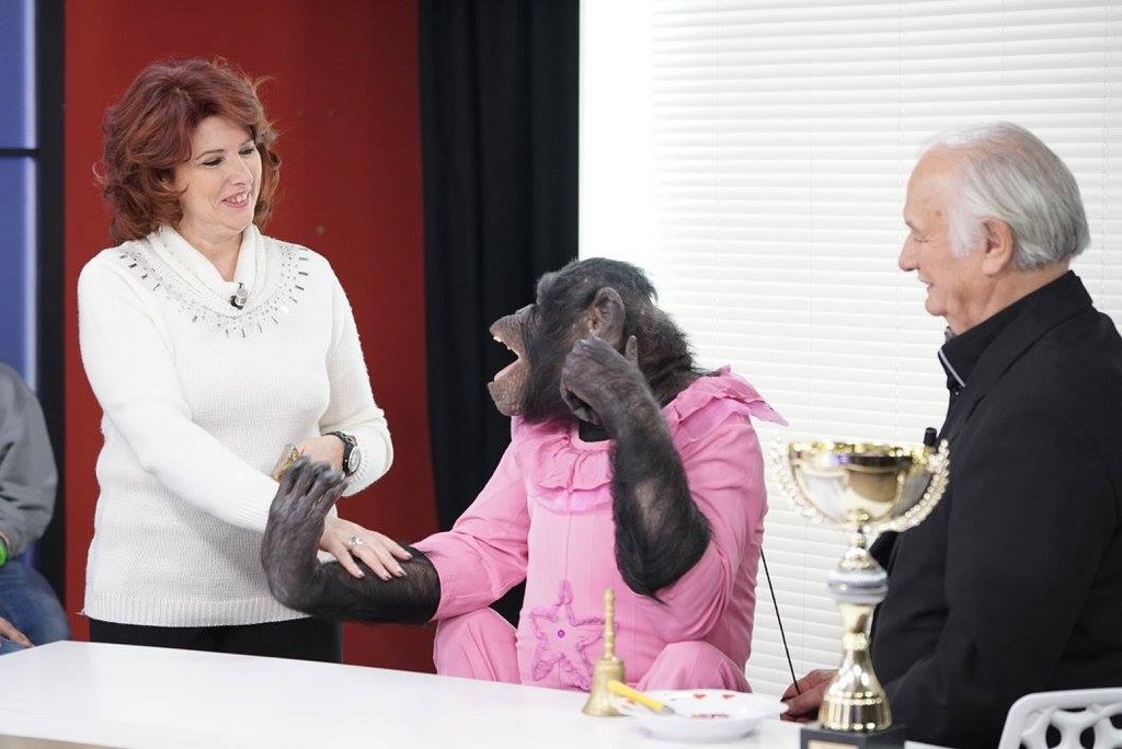 (alt)emission voyance, judith fricot Tibi 