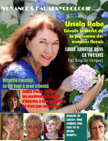 (alt)meilleur voyant en France